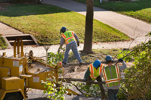 Lawn Irrigation Installation and Maintenance in Minot Af, ND